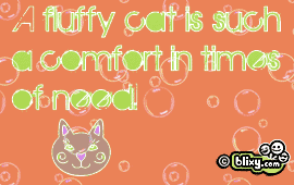 Fluffy Cat
