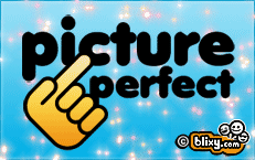 Picture Perfect
