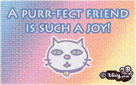 Pet Cat 2