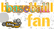 Baseball Fan