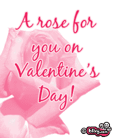 A rose for you on Valentines Day!