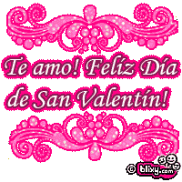 Te amo! Feliz Diao de San Valentin!