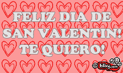 Feliz Dia De San Valentin! Te Quiero!