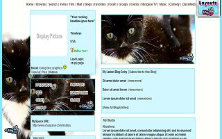 Black winter kitty in snowflakes