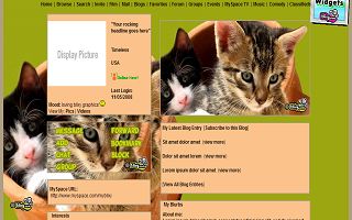 Cats in a clay pot