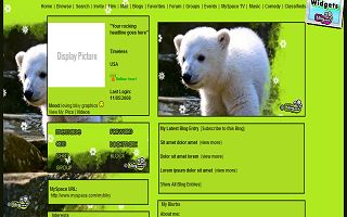 Cute polar bear