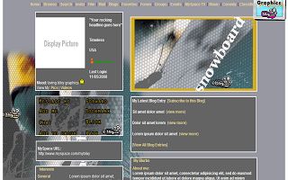 Snowboard Myspace Layout