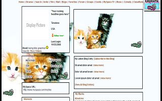 Three kittens