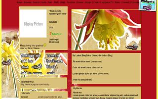 Yellow beige red Myspace Layout