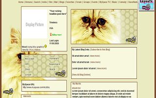 Yellow cat
