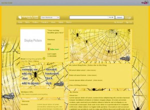 Sunshine spiders in a web