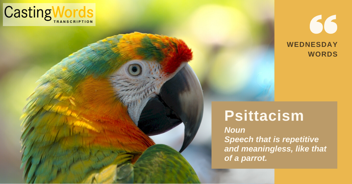 Photo of a colorful parrot