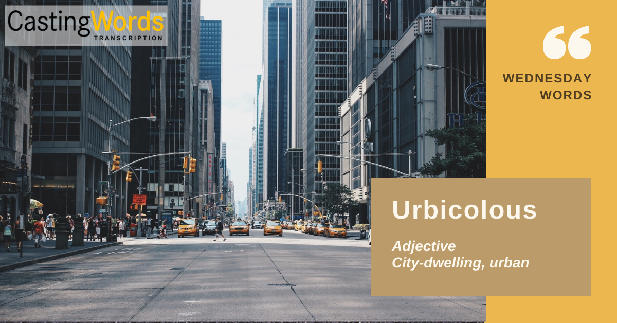 Photograph of a city street