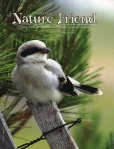 naturefriendoct2016
