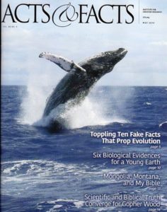 Acts & Facts, May 2019