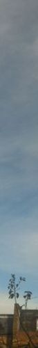 Sky colour: #708796