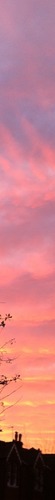 Sky colour: #e18896