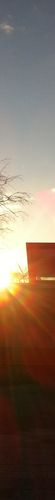 Sky colour: #e5c19b