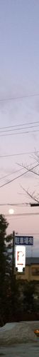 Sky colour: #dbcbcf