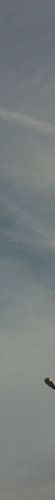 Sky colour: #687377