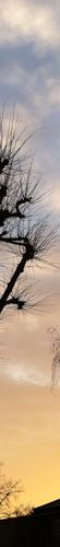 Sky colour: #928174