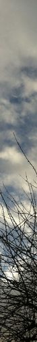 Sky colour: #b4b0a0