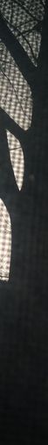 Sky colour: #26292a