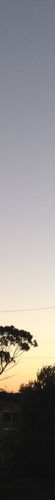 Sky colour: #d3cdca