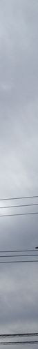 Sky colour: #cfd5db