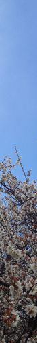 Sky colour: #7d9cc7