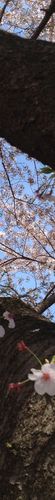 Sky colour: #9e95a2