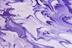 Purple_mxwa_mxh48_e0