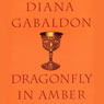 Dragonfly in Amber (Unabridged) audiobook download