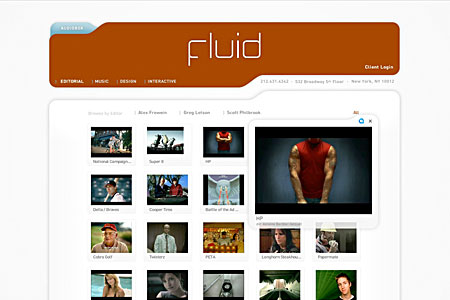 Fluid_1