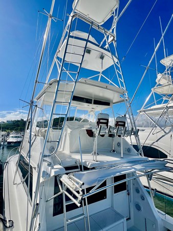 9184804_956946197_0_080120241548_3