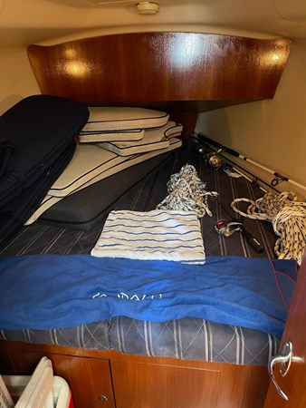 8924221_20230626132618357_1_XLARGE