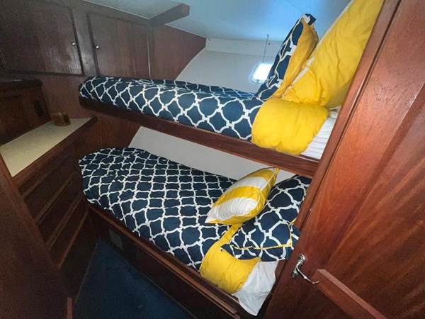 9014640_20230825055556842_1_XLARGE