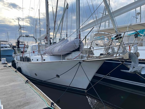 8996416_20230812040751073_1_XLARGE