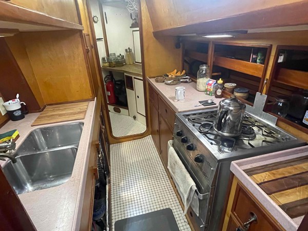 8996416_20230812041153195_1_XLARGE