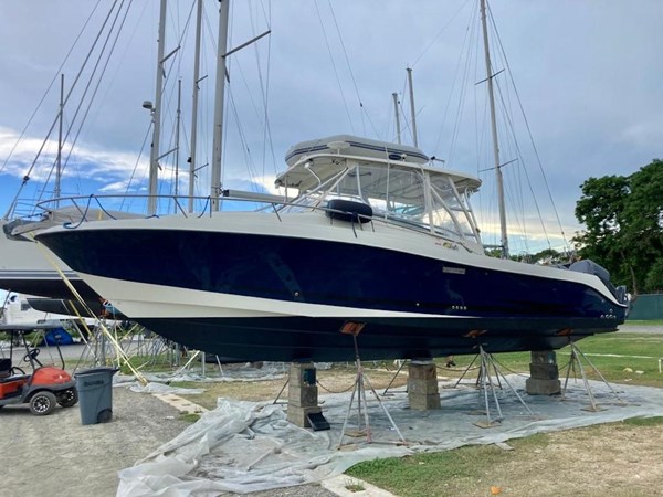 9119484_20231103014206494_1_XLARGE