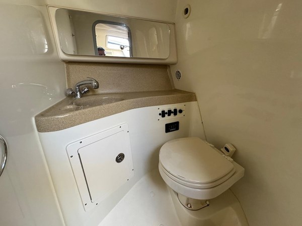 9119484_20231103014223725_1_XLARGE