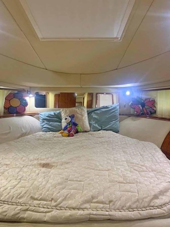 IMG-20231128-WA0047 Large