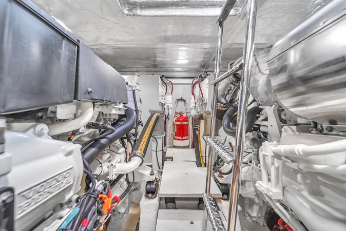 9101351_20231025124704416_1_XLARGE