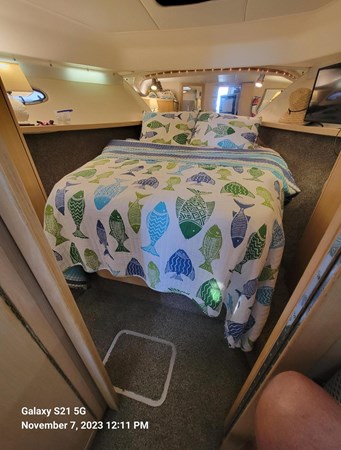 9125501_20231107130428364_1_XLARGE