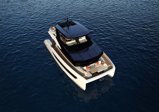 RB035 TribaleCat56 perspective 4