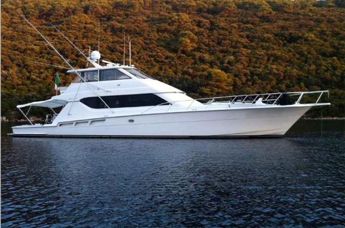 Screenshot 2024-06-03 at 9.57.26 AM