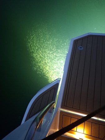 Greenline 48 Fly Hybrid Night Time Powered Yacht by Ocean Pacific Yachts