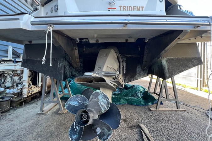 Foto 14-4-23, 15 10 39