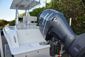 Clean Lines, Pop-Up Cleats