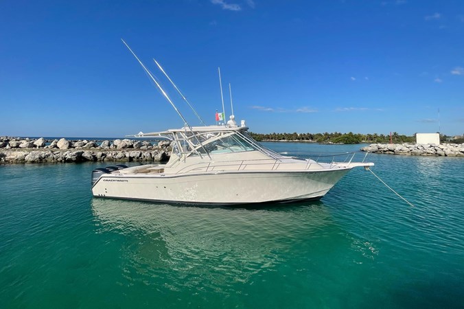 Alternate Stern Profile